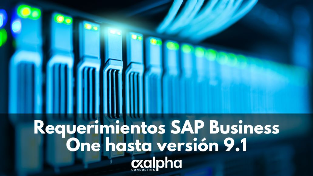Requerimientos SAP Business One 9.1