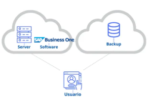 Estructura SAP Business One Cloud
