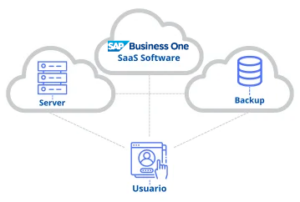 Estructura Cloud - SaaS