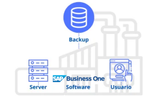 Estructura de servidor SAP Business One convencional