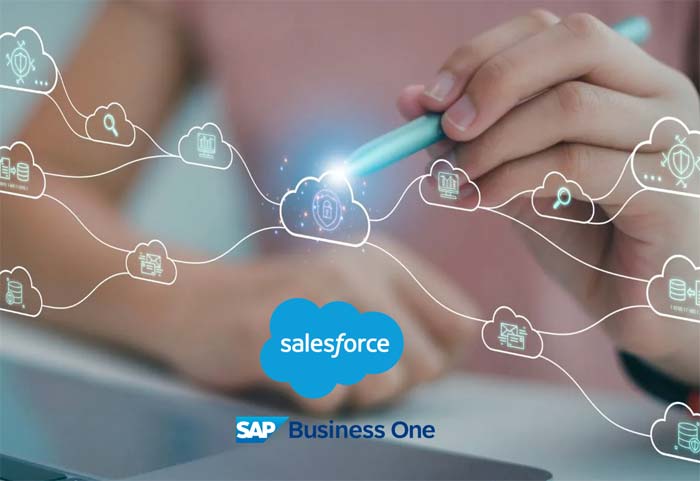 Módulo conector Salesforce con SAP Business One