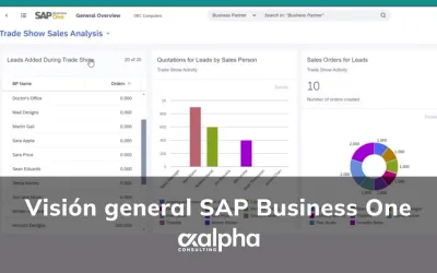 Transforma tu empresa con SAP Business One: La solución que impulsa el crecimiento