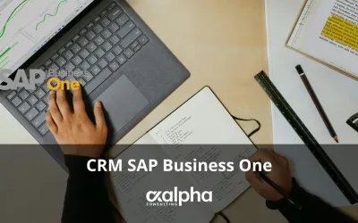 CRM SAP Business One