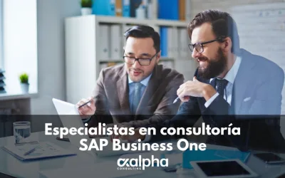 Especialistas en consultoría SAP Business One