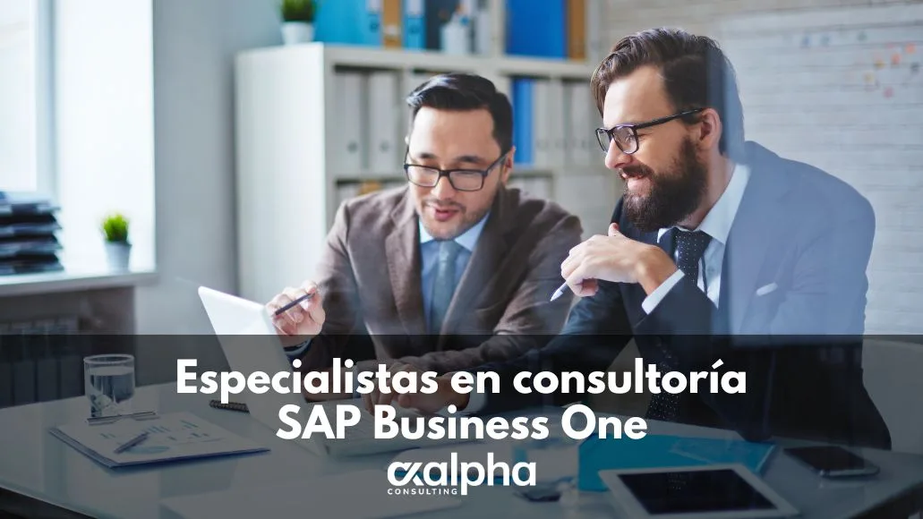 Especialistas en consultoría SAP Business One