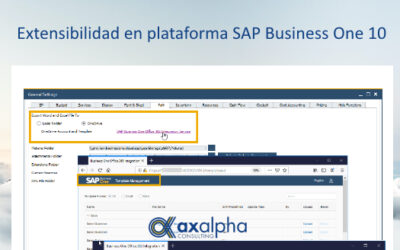 Extensibilidad de plataforma SAP Bussines One 10