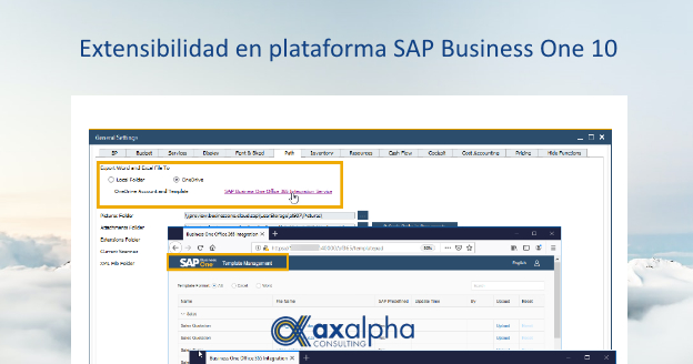 Extensibilidad de plataforma SAP Bussines One 10