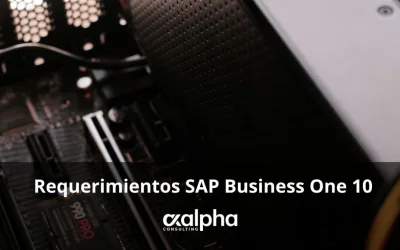 Requerimientos SAP Business One 10