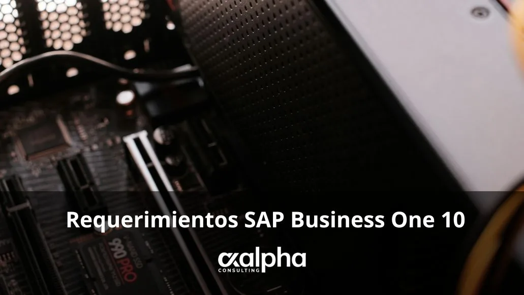 Requerimientos SAP Business One 10