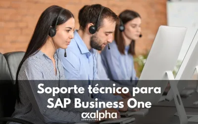 Servicio técnico SAP Business One