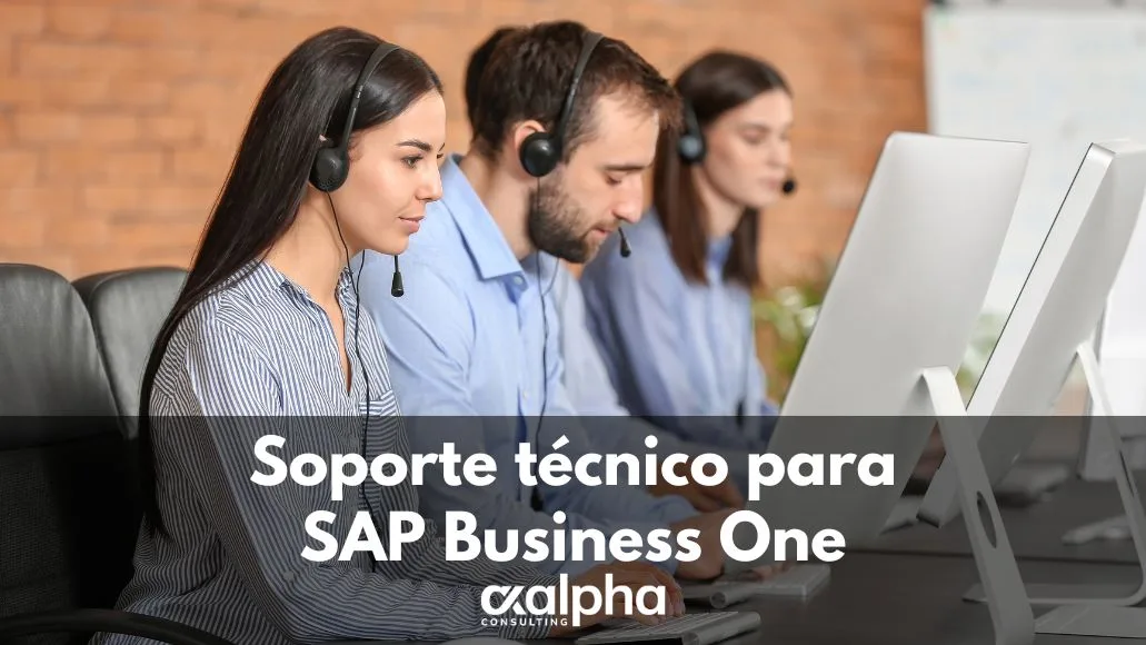 Servicio técnico SAP Business One