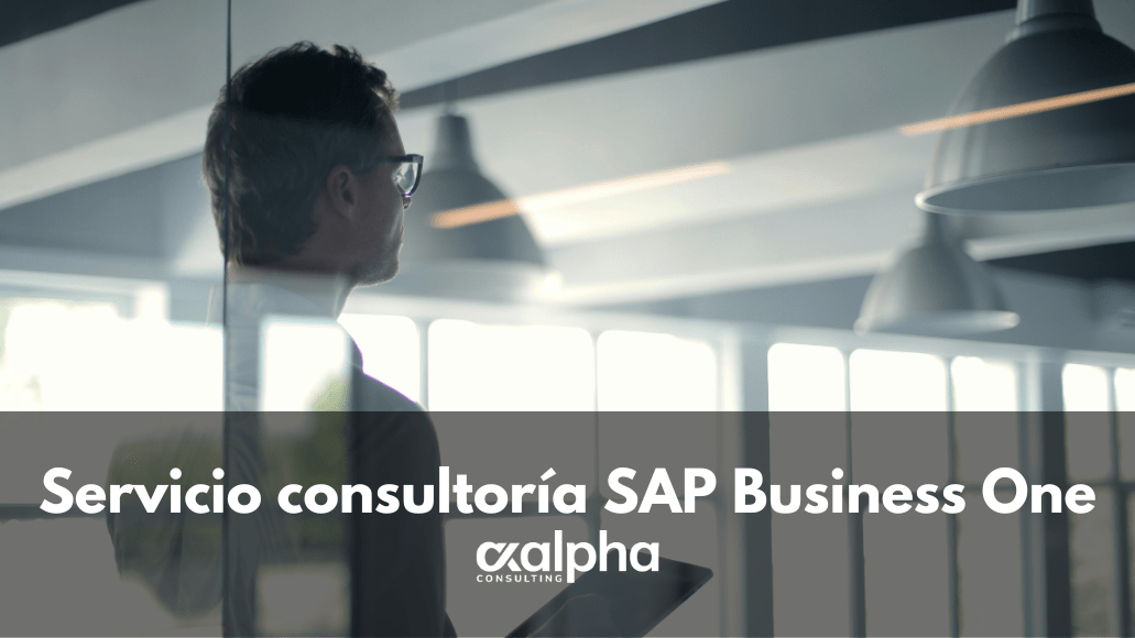 Servicio consultoría SAP Business One