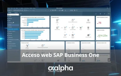 Acceso web SAP Business One