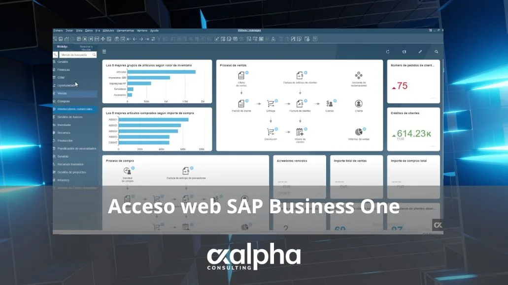 Acceso web SAP Business One