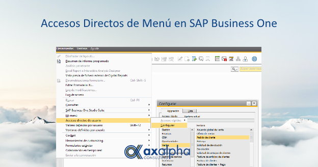 Accesos directos usuario SAP