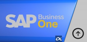 SAP Business One opción alquiler