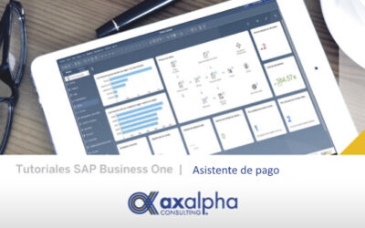 El asistente de pago en SAP Business One 10