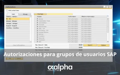 Autorizaciones para grupos de usuarios SAP