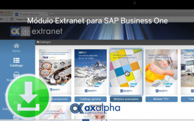 Utilidades módulo extranet SAP Business One