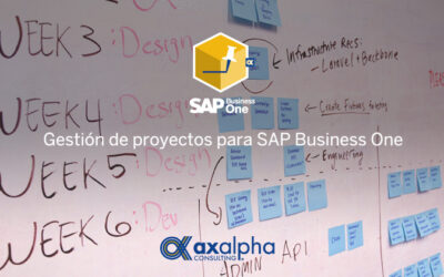 Gestión de proyectos SAP