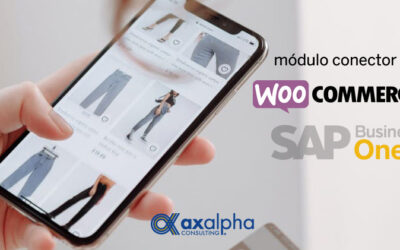 Módulo conector Woocommerce con SAP Business One