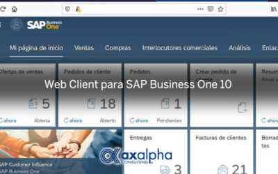 Web Client para SAP Business One 10