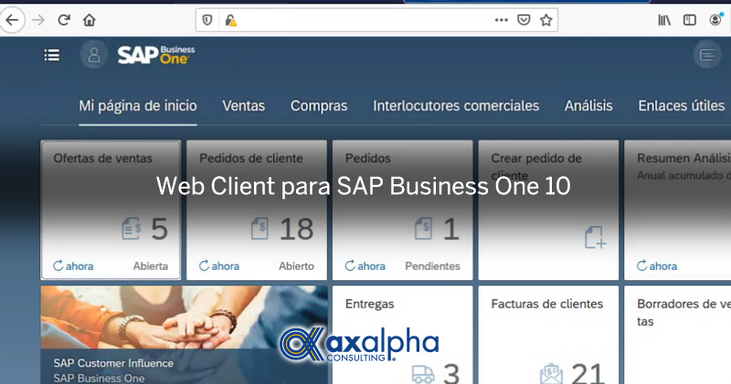 Web Client para SAP Business One 10