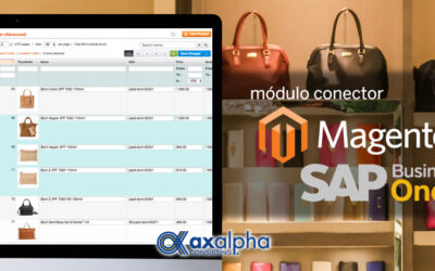 Conector ERP Magento