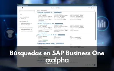 Búsquedas en SAP Business One