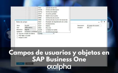 Campos de usuarios y objetos en SAP Business One