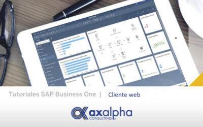 Acceso web SAP Business One