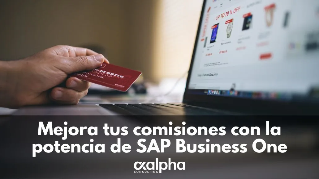 Gestión de comisiones SAP Business One
