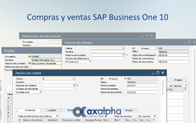 Compras y ventas SAP Business One 10