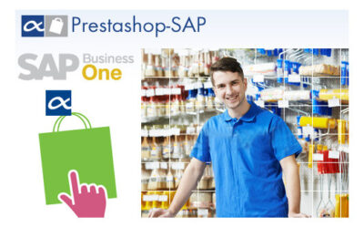 Conectar Prestashop con ERP