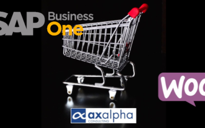 Conectar Woocommerce con ERP