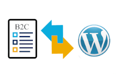 conector SAP wordpress