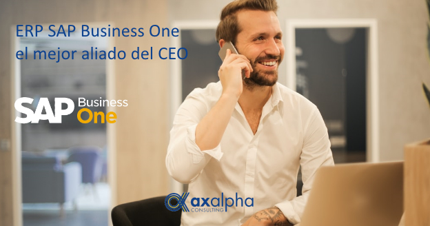 ERP SAP Business One y CEO