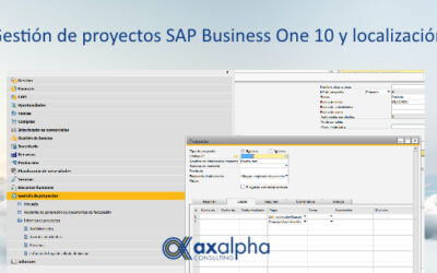 Gestión de proyectos SAP Business One 10 y localización