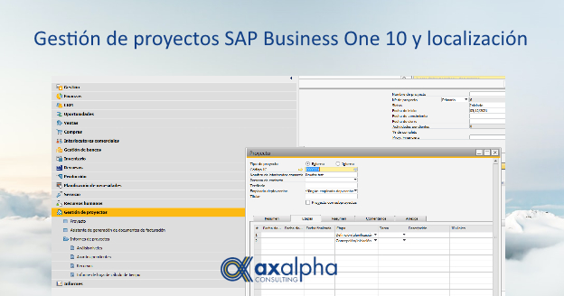 Gestión de proyectos SAP Business One 10 y localización