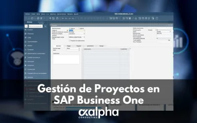 Gestión de Proyectos en SAP Business One