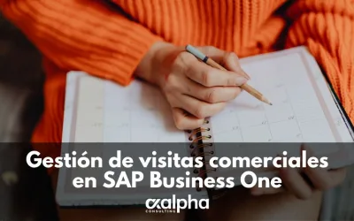 Gestión de visitas comerciales en SAP