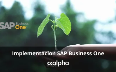 Implementacion SAP Business One