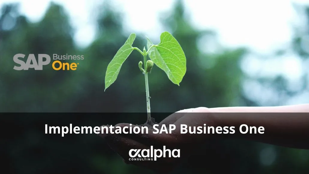 Implementacion SAP Business One