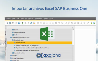 Importar archivos Excel SAP Business One