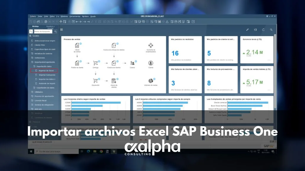 Importar archivos Excel SAP Business One