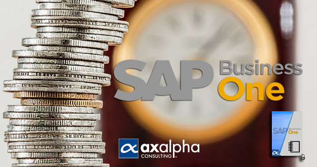 manuales SAP Business One finanzas