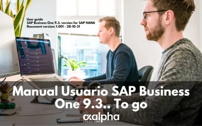 Manual Usuario SAP Business One 9.3.. To go