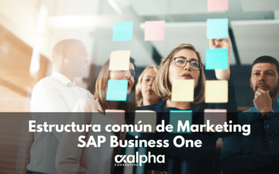 SAP Business One: Estructura común de datos para documentos de Marketing