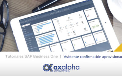 Asistente de confirmación de aprovisionamiento SAP Business One