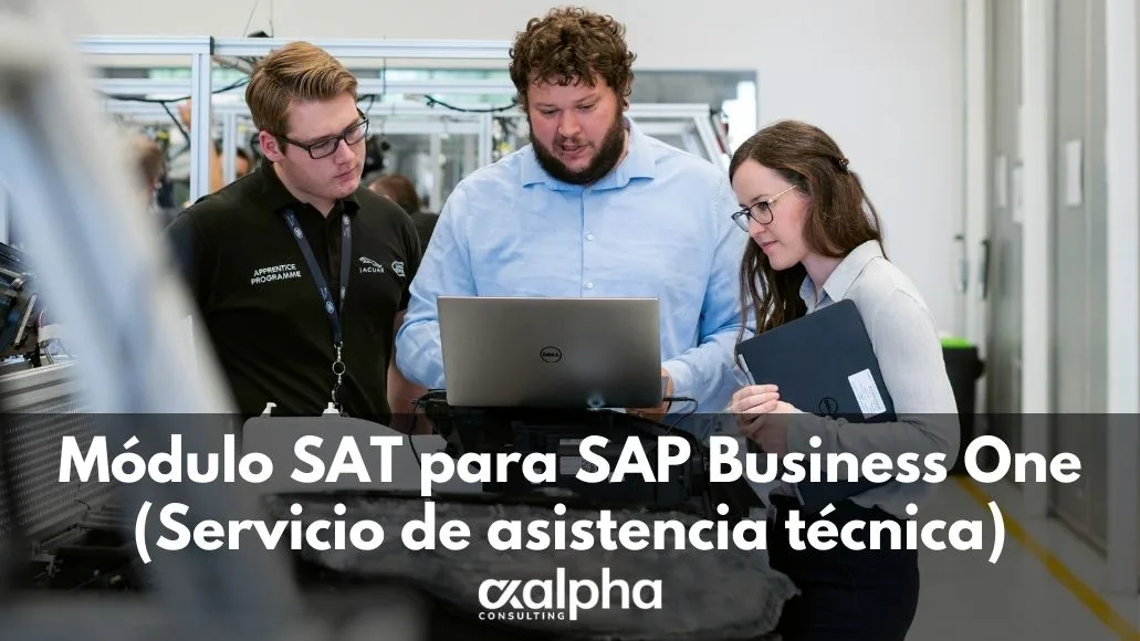 Software SAT para SAP Business One